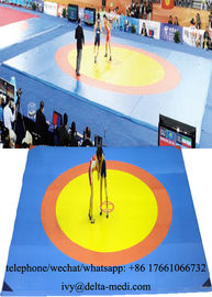 Wrestling Gymnastics Training Mats 12M * 12M Square And Octagon Grappling Mat