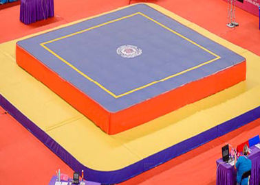 Durable Wushu Platform Gymnastics Training Mats Competition Sanda Mat