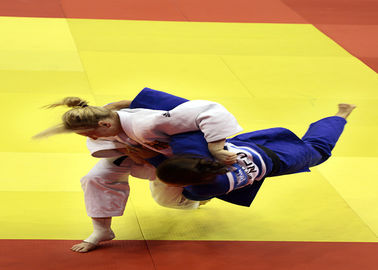 High Density Bjj Colourful Jujitsu Martial Arts Competition And Training Judo Mats